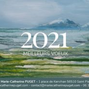 Bonne année 2021 !